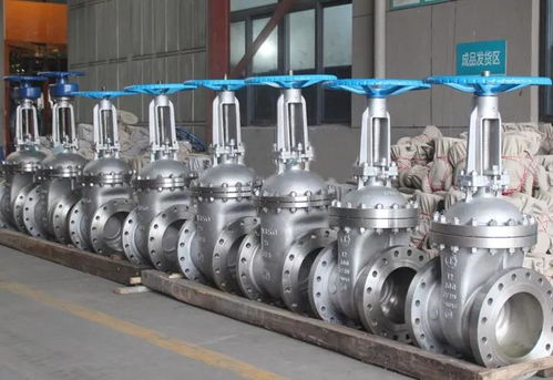 良工閥門集團(tuán) 高端不銹鋼閥門系列產(chǎn)品的卓越制造商